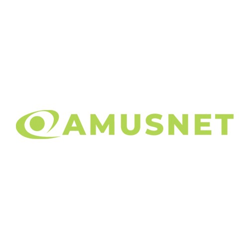 AMUSNET INTERACTIVE